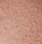 BASIC BROWN
