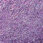 y-1025 || inny kolor