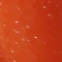 Red Sparkle